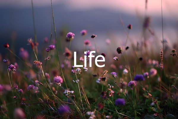 Life